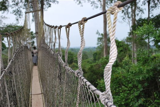 Ghana History and Culture<br>Kakum National Park