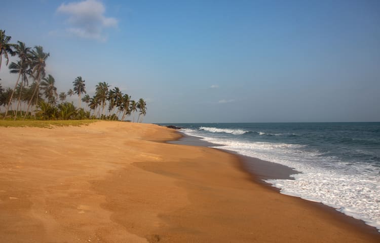 Elmina Beach<br>Palm trees and the beach