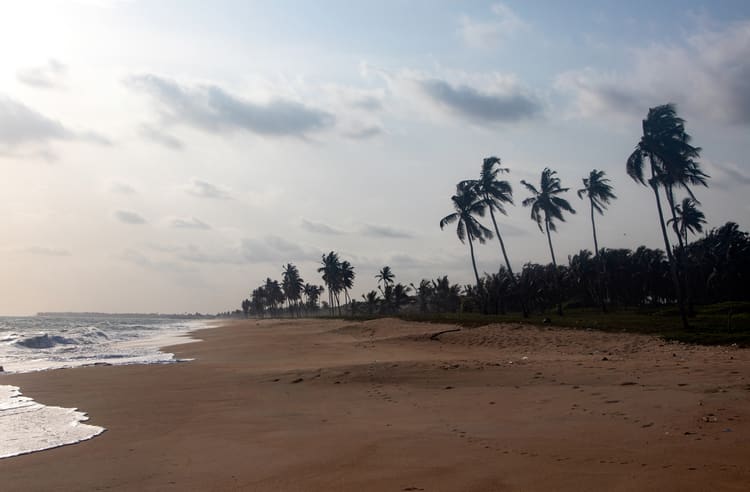Elmina Beach<br>Palm trees and the beach