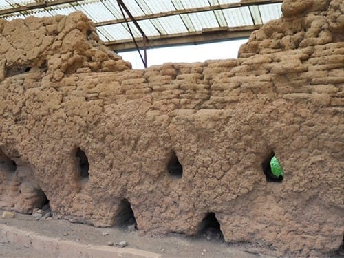 Gwollu Defence Wall<br>Gwollu Defence Wall