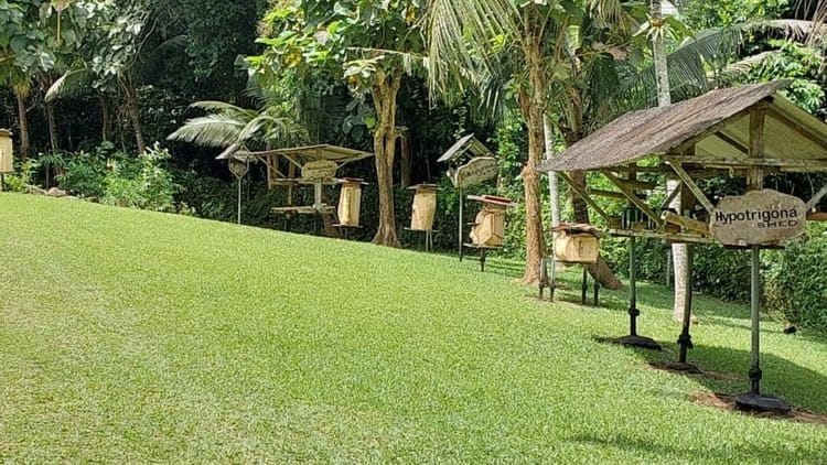 International Stingless Bee Centre<br>Hypotrigona Shed