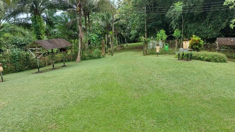 International Stingless Bee Centre<br>The grounds