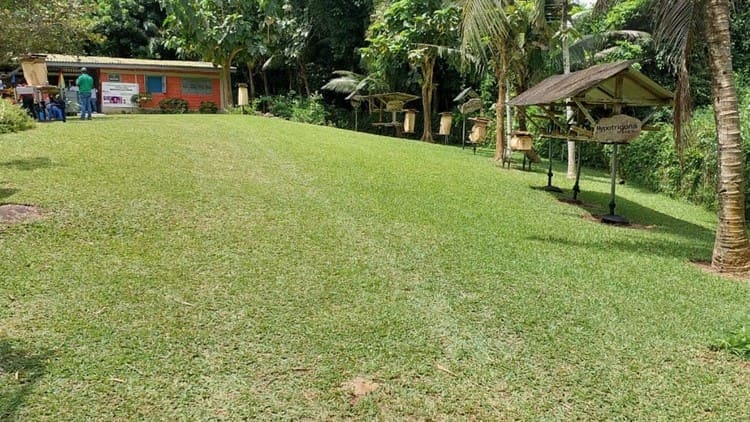 International Stingless Bee Centre<br>The shed and the lawn