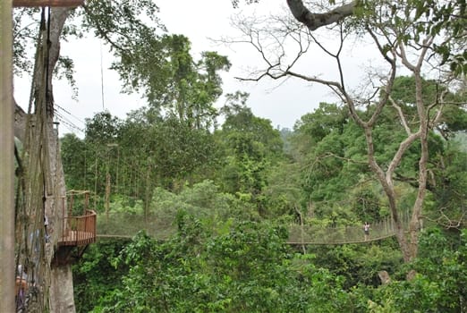 Kakum National Park<br>Canopy Walk