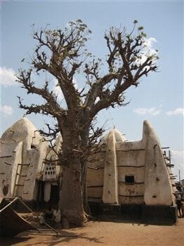 Larabanga Mosque<br>Baobab tree near the Larabanga Mosque