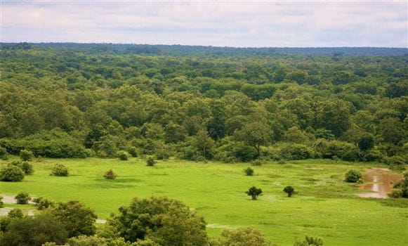 Mole National Park - A Wildlife Adventure in Ghana<br>The Park