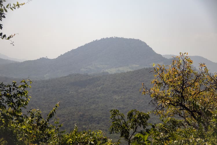 Mount Afadja<br>Mount Afadjo towering into the air