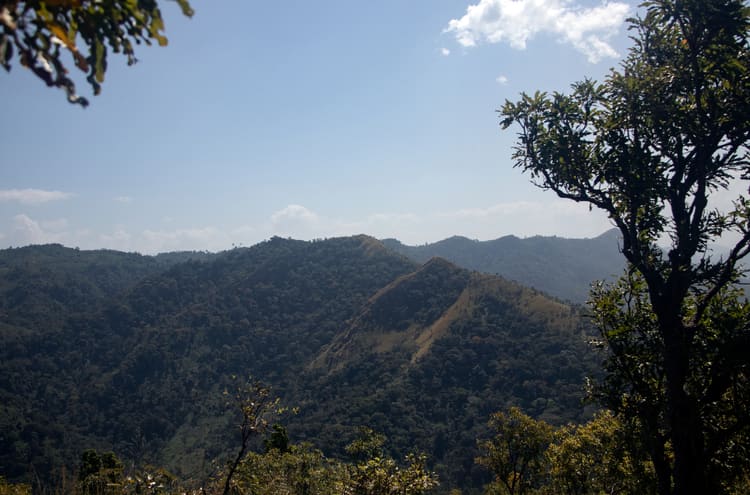 Mount Afadja<br>The view off Mount Afadjo
