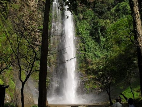 Wli Waterfalls Travel Guide<br>The Wli Falls