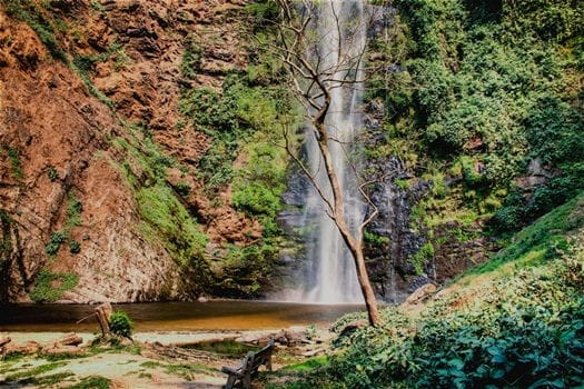 Wli Waterfalls Travel Guide<br>The Wli Falls