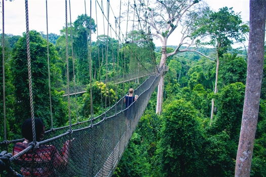 Best hiking places in Ghana<br>Canopy of Kakum