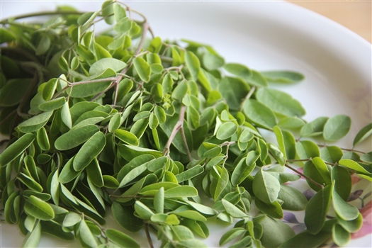Health and Beauty products to bring from Ghana<br>Moringa Powder