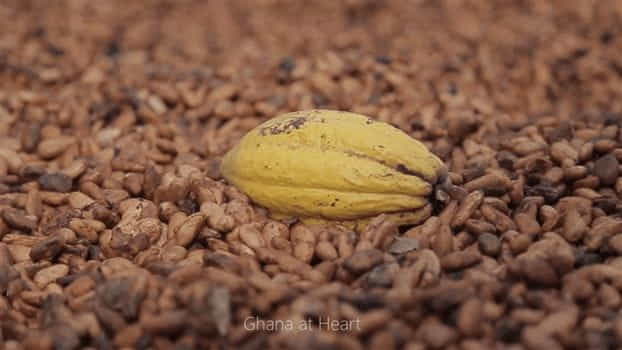 Sharing the beauty of Ghana<br>Ghana at Heart - Cacao