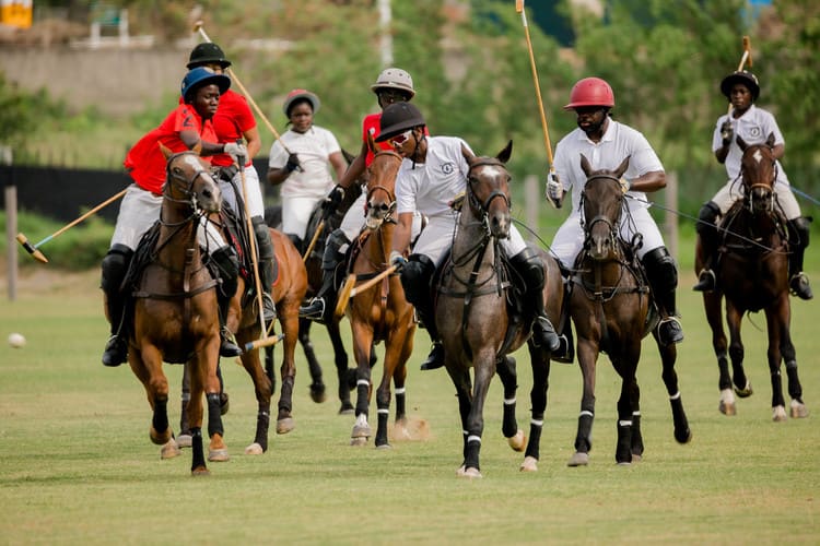 Polo in action