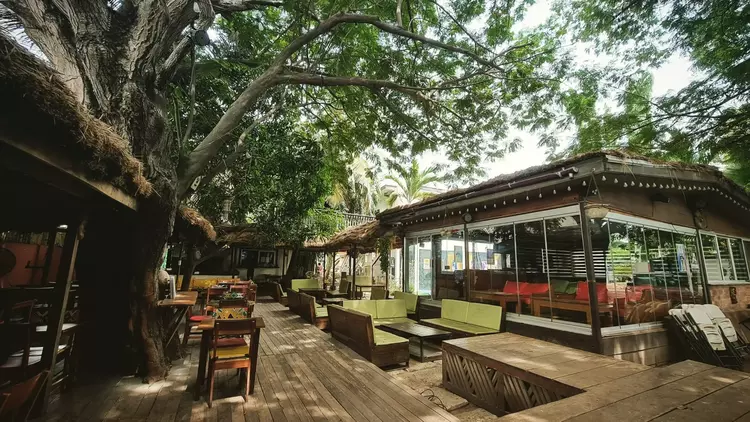 The courtyard