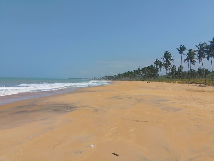 Exotic Adventures Ltd - A beach view
