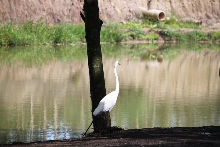 Helgard Africa - Tours - Bird wildlife
